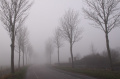 The Netherlands in the mist