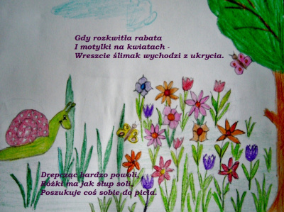 Ślimaczek 9