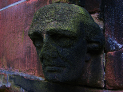 Head