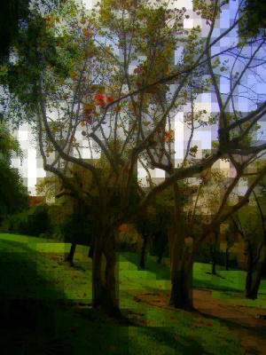 Land