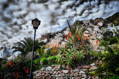 Aloes pod dziurawą lampą