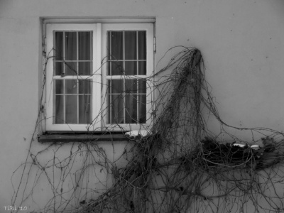 okno