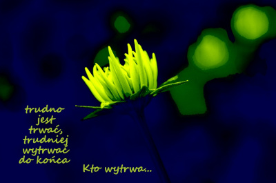 oby do wiosny.... jakby spóźnia się
