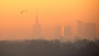 stycziowy świt