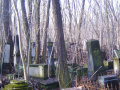 cmentarz żydowski 15