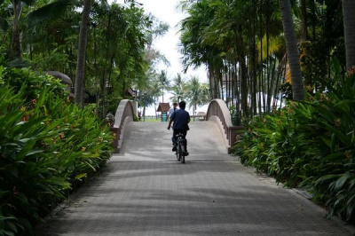 Thailand Biker