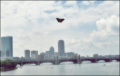 boston flies away