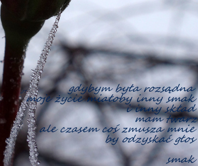 wciąż nie wiem, jaki to wzór, ale kawałki nie  chcą pasować inaczej