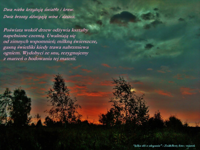 uległość