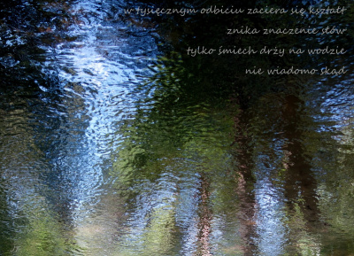 nie czytać wciąż tych samych..