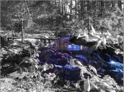blue flow