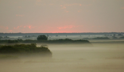 świta