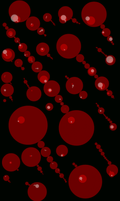 Cells Divided
