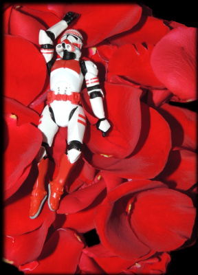 Star Wars Beauty
