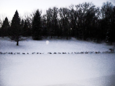 Frozen Lake