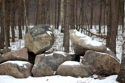 serce