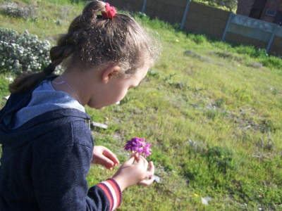 Flower fascination