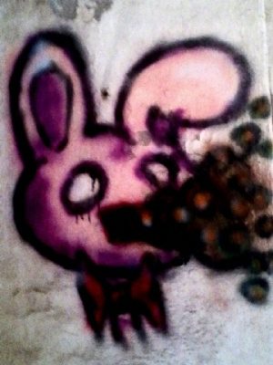 Bunny
