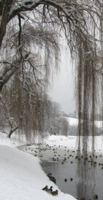 park