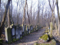 cmentarz żydowski 4