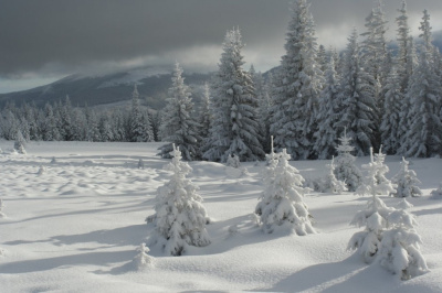 karkonosze