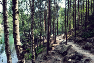 Ścieżką