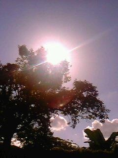 afternoon sun