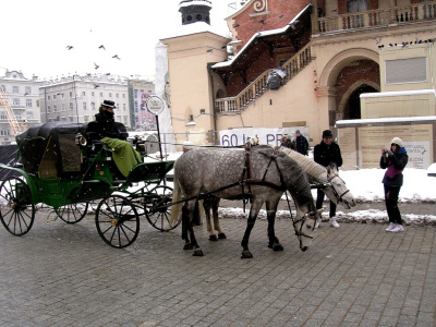 atrakcja sezonu