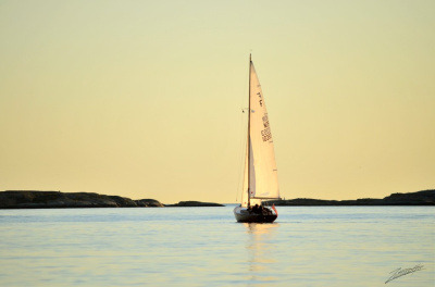 A calm evening
