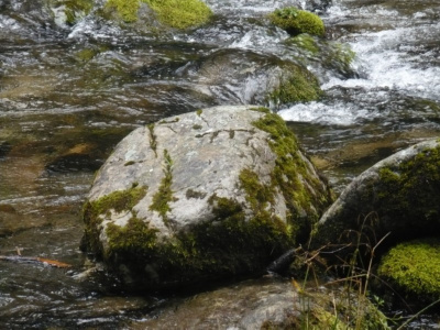 wodny kamień