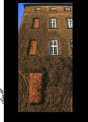 Kreator snów