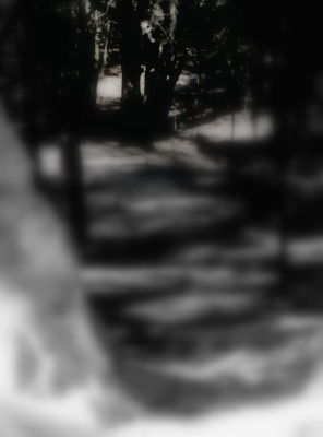 The PATH