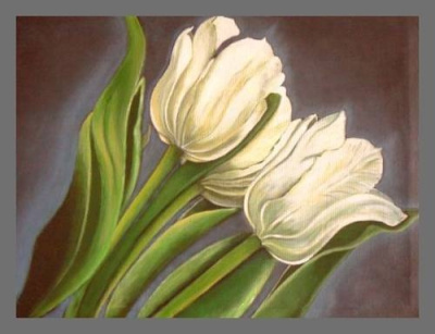 BIAŁE  TULIPANY