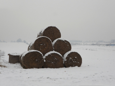 Piramida zależności
