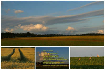 mając na uwadze