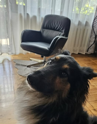 Moja miłość