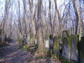 cmentarz żydowski 13