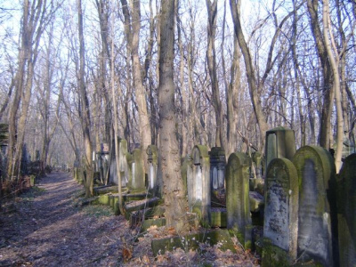 cmentarz żydowski 13