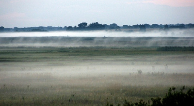 Świt