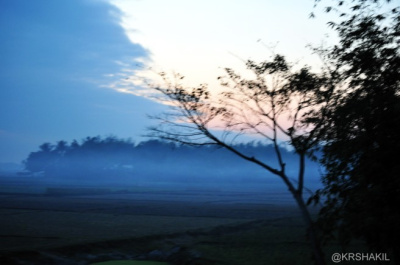 Nature