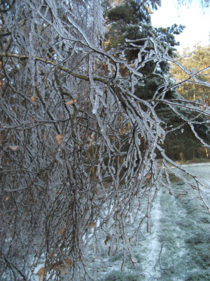zamarznięty maj bez makijażu