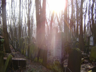 cmentarz żydowski 1