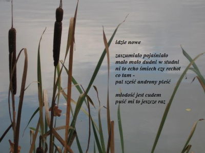 idzie nowe