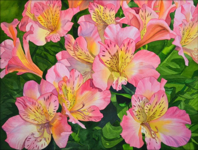 Alstroemeria