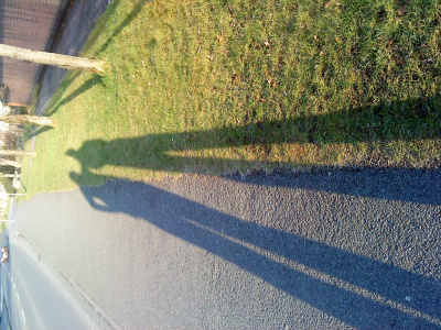 Shadow play