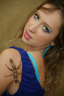 Dama z ...