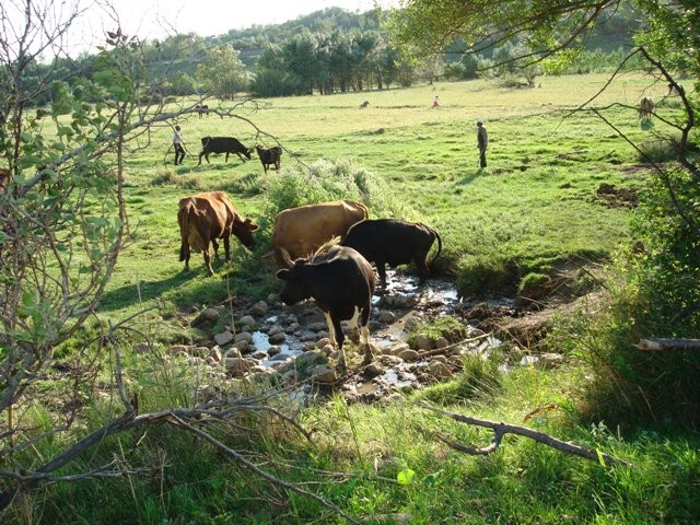 Sahzab village, Sarab, East Azerbaijan, Iran