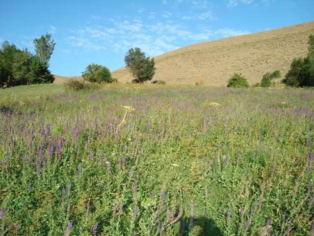 Sahzab village, Sarab, East Azerbaijan, Iran