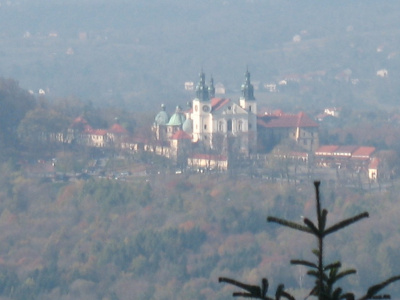 Bernardyni