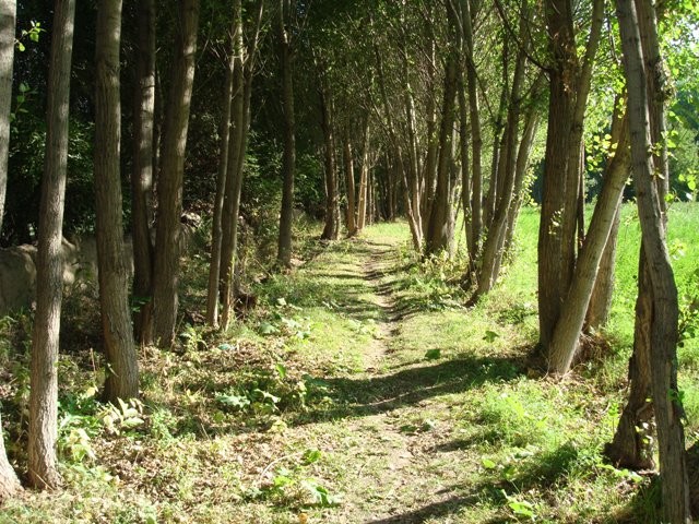 beuty sahzab village, east azerbaijan, Iran